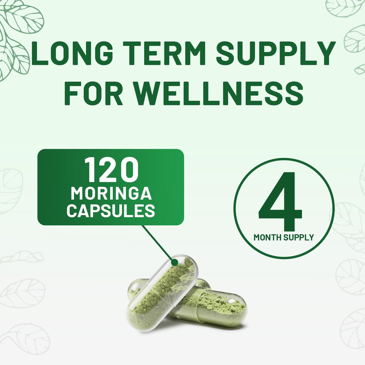 120 Moringa Capsules G3127