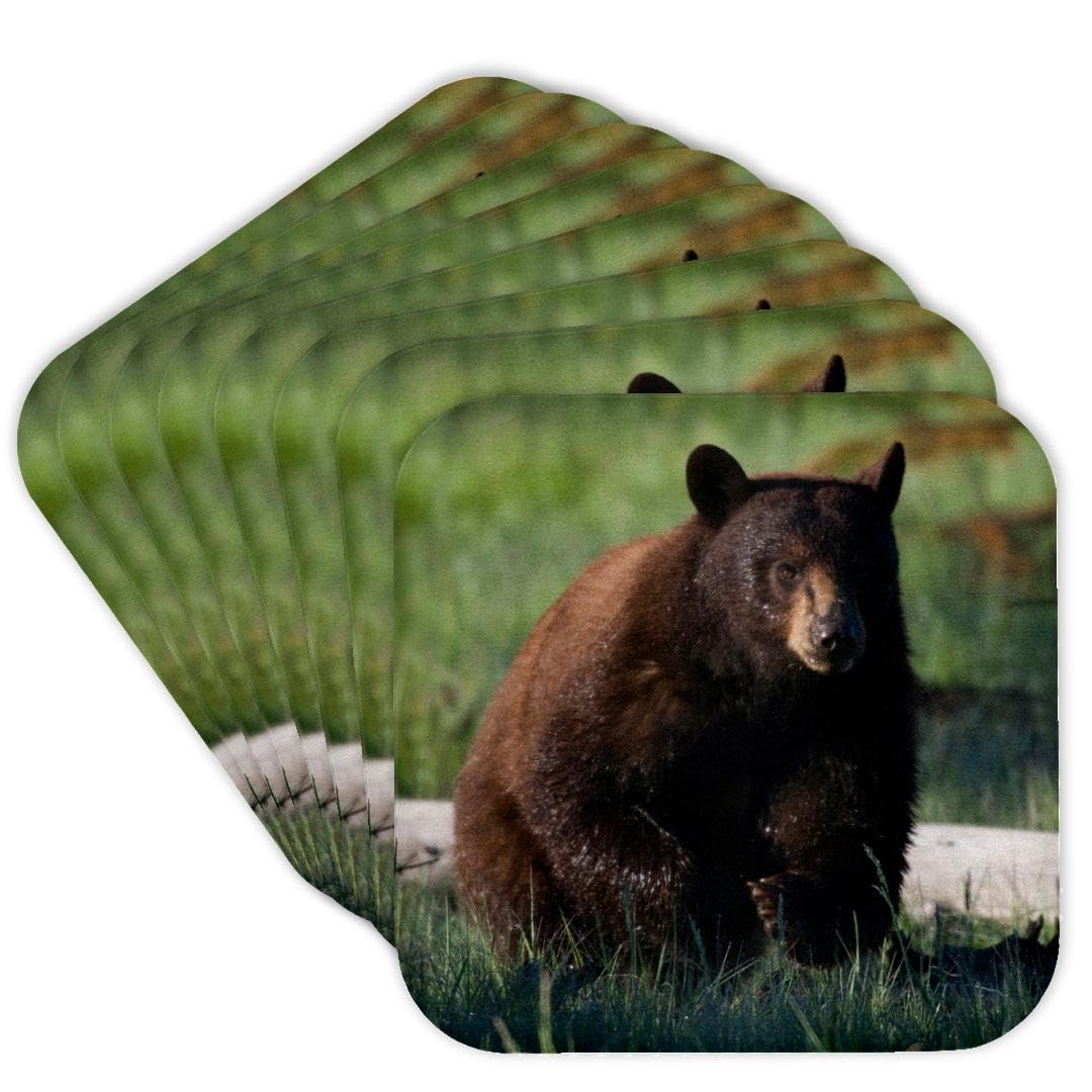 Set of 8 Cork Coasters R567788