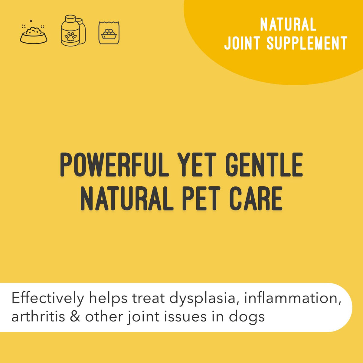 Hip & Joint Support Liquid for Dogs 32 fl oz P727862