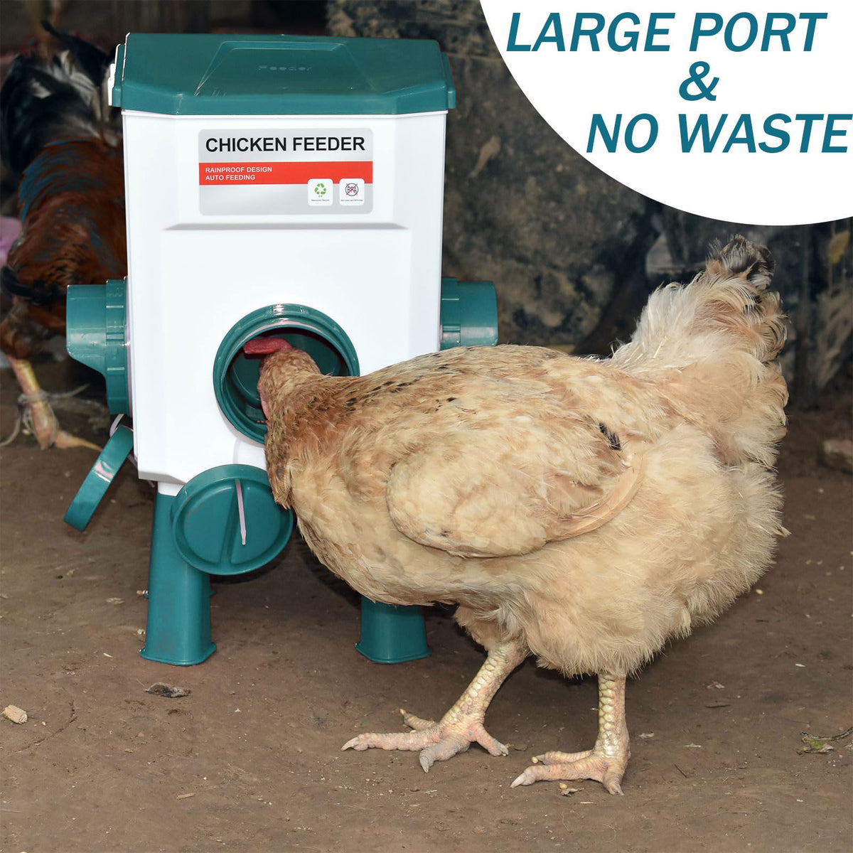 Automatic Chicken Waterer & No Waste Feeder Kits, 3 Gallon E47542