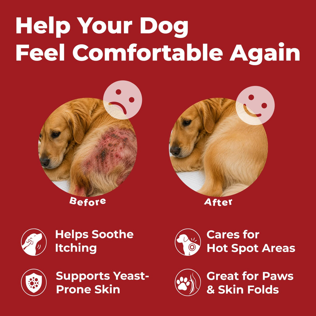 Dog Yeast Infection Treatment 4.23oz S4512