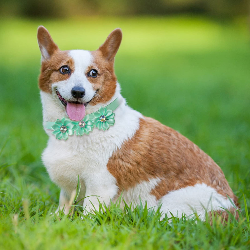80 Pcs Dog Bowtie Flower Collar Adjustable W496305