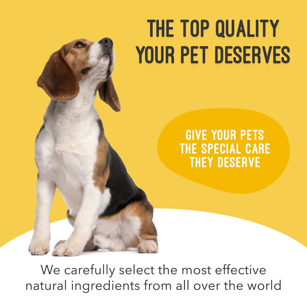 Hip & Joint Support Liquid for Dogs 32 fl oz P727862