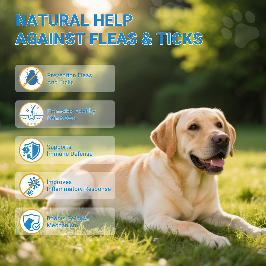 Flea and Tick Prevention for Dogs 200 Soft Chews Chicken Flavor B143