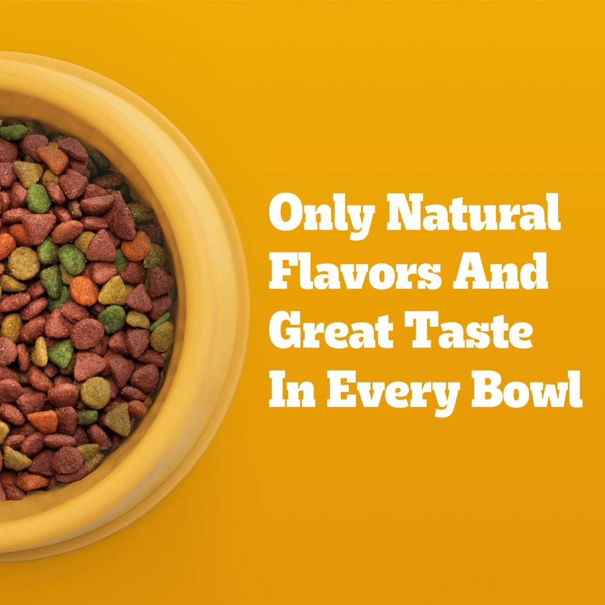 Dry Dog Food 14 lb Z85820