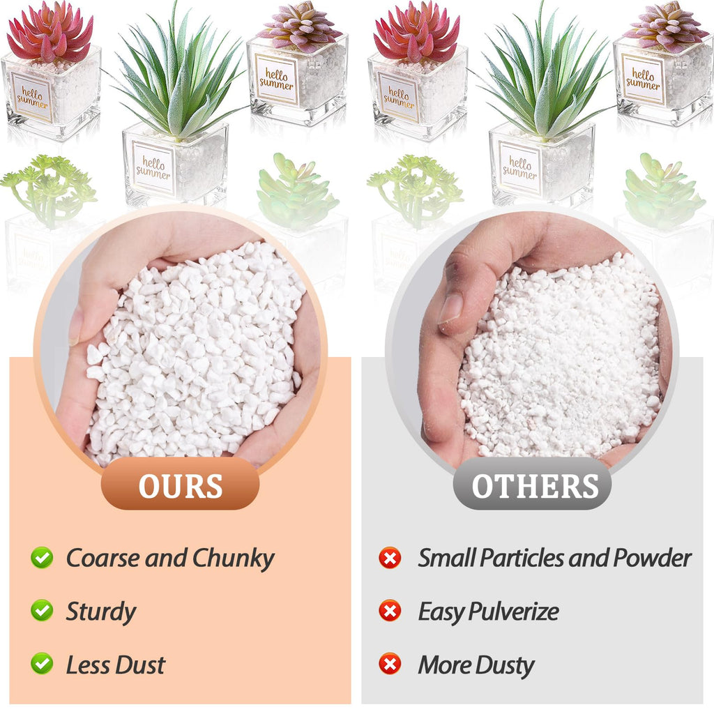4QT Organic Horticultural Perlite Soil Amendment F470