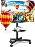 Height Adjustable Rolling TV Stand J546022