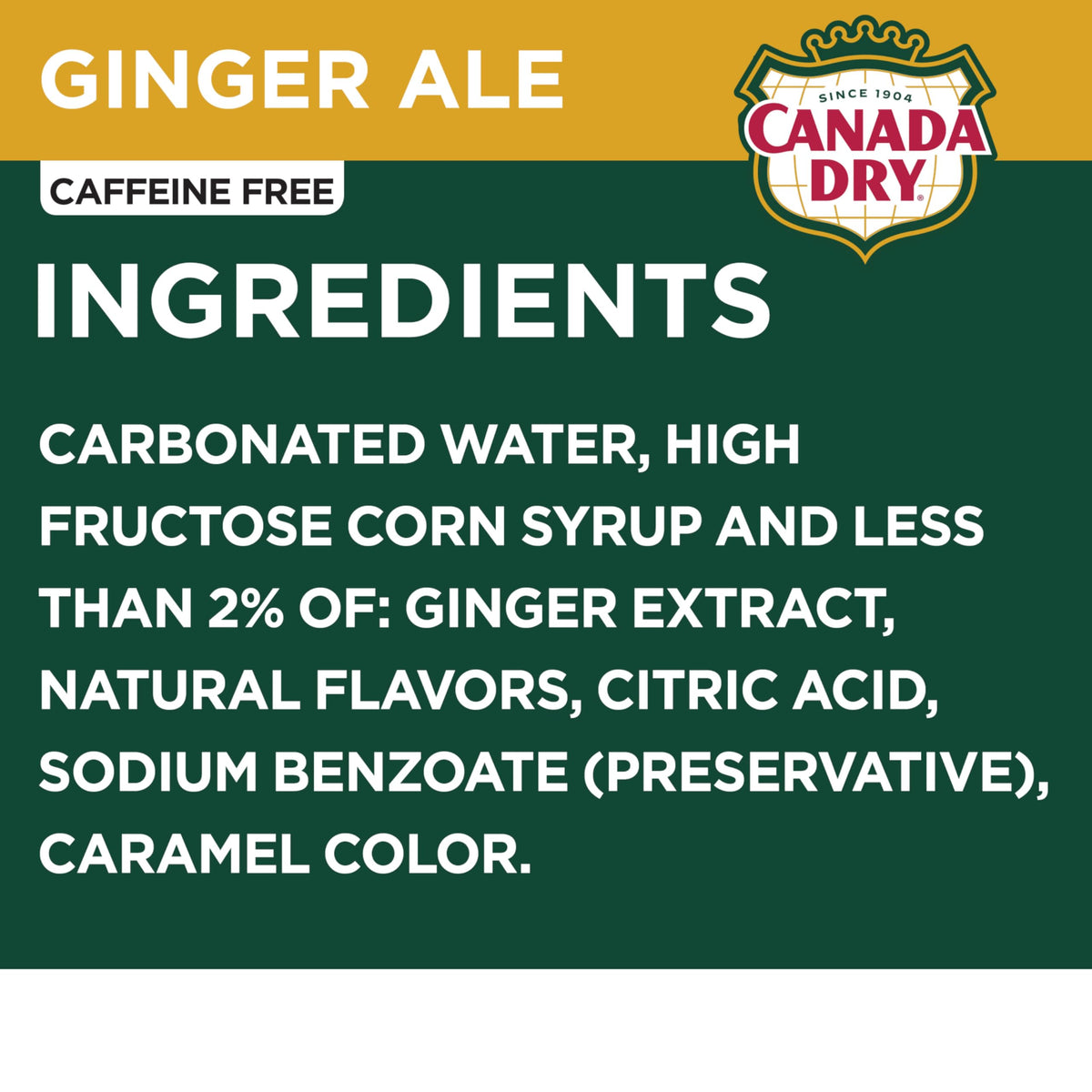 Ginger Ale Soda 12 fl oz 12 pack H159265