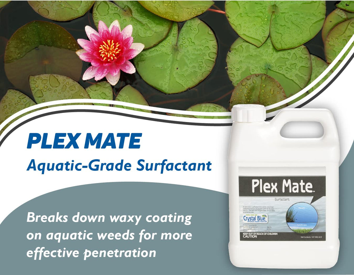 Aquatic Surfactant Quart O814