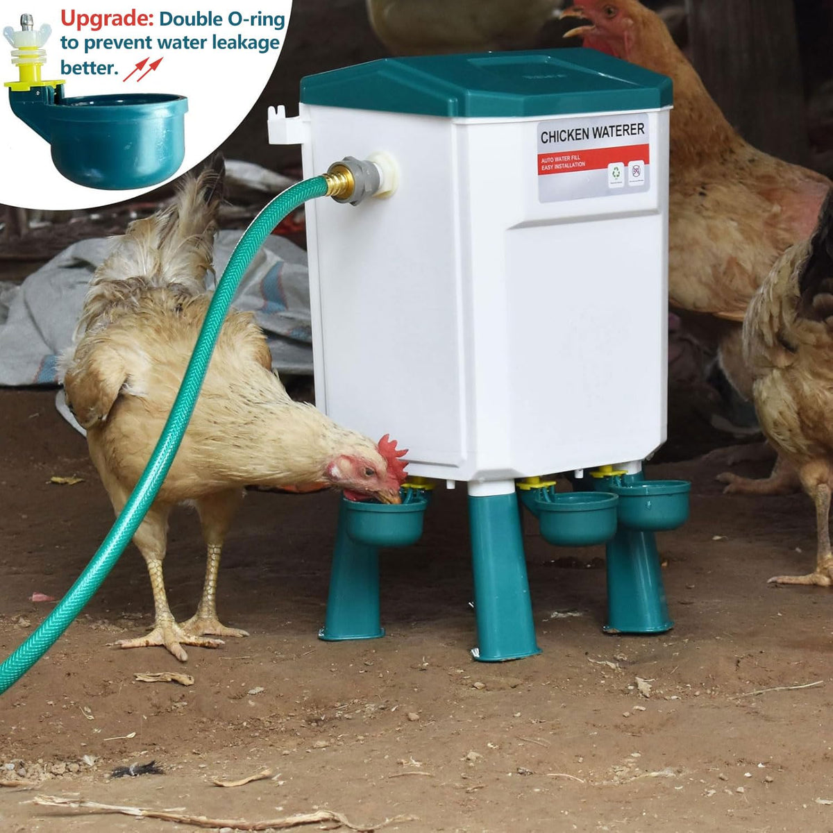 Automatic Chicken Waterer & No Waste Feeder Kits, 3 Gallon E47542