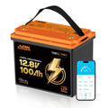 12V 100Ah LiFePO4 Lithium Battery with Bluetooth Monitoring & Low-Temp Protection V156