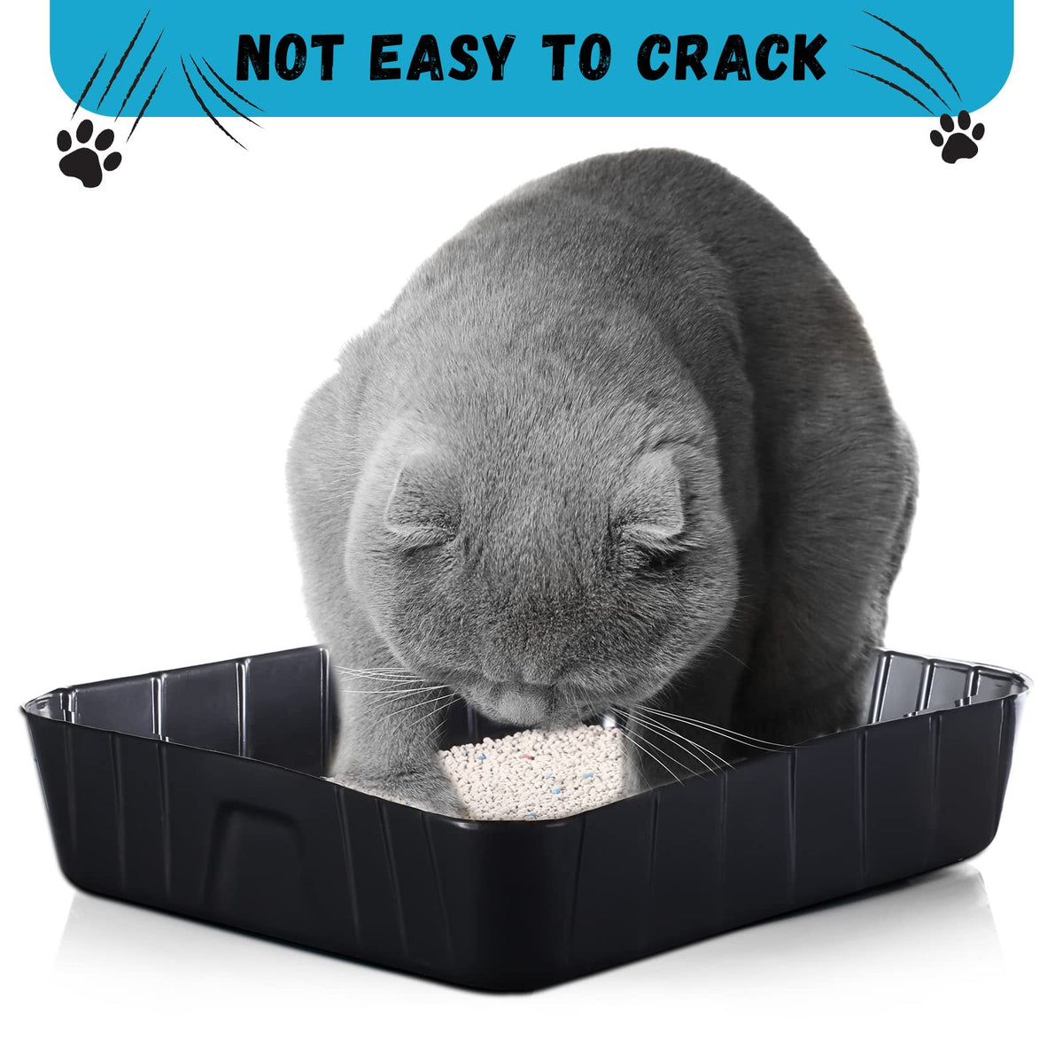 Black Disposable Litter Box for Cats D19316