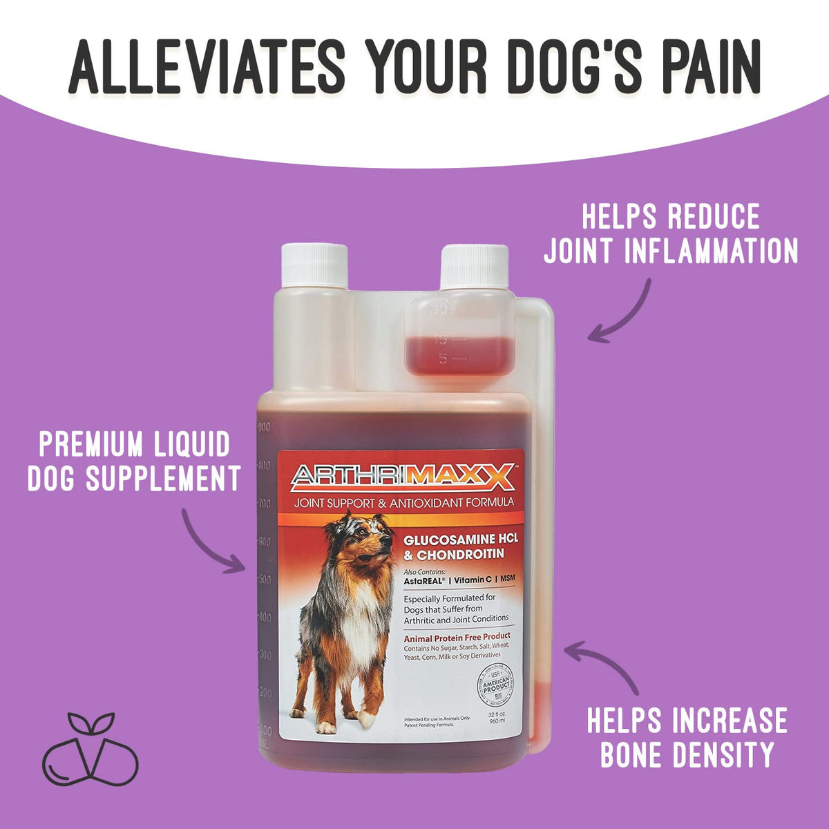 Hip & Joint Support Liquid for Dogs 32 fl oz P727862
