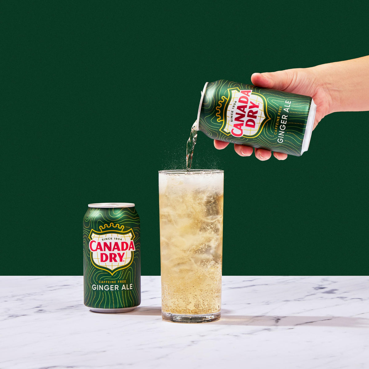 Ginger Ale Soda 12 fl oz 12 pack H159265