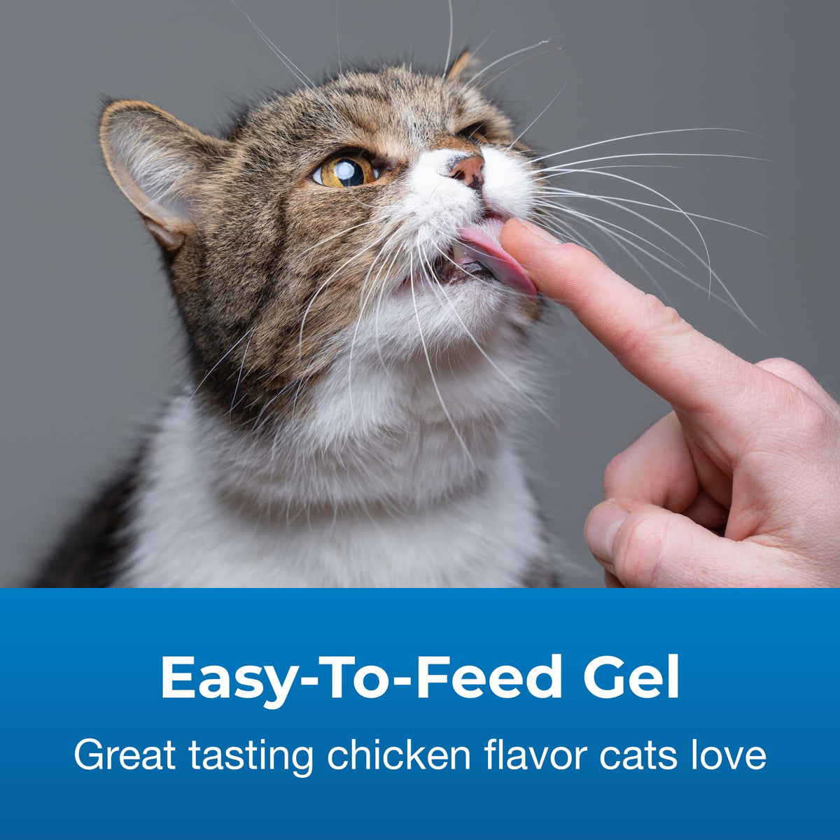 Hairball Solution Gel Supplement for Cats 3.5 oz M89072