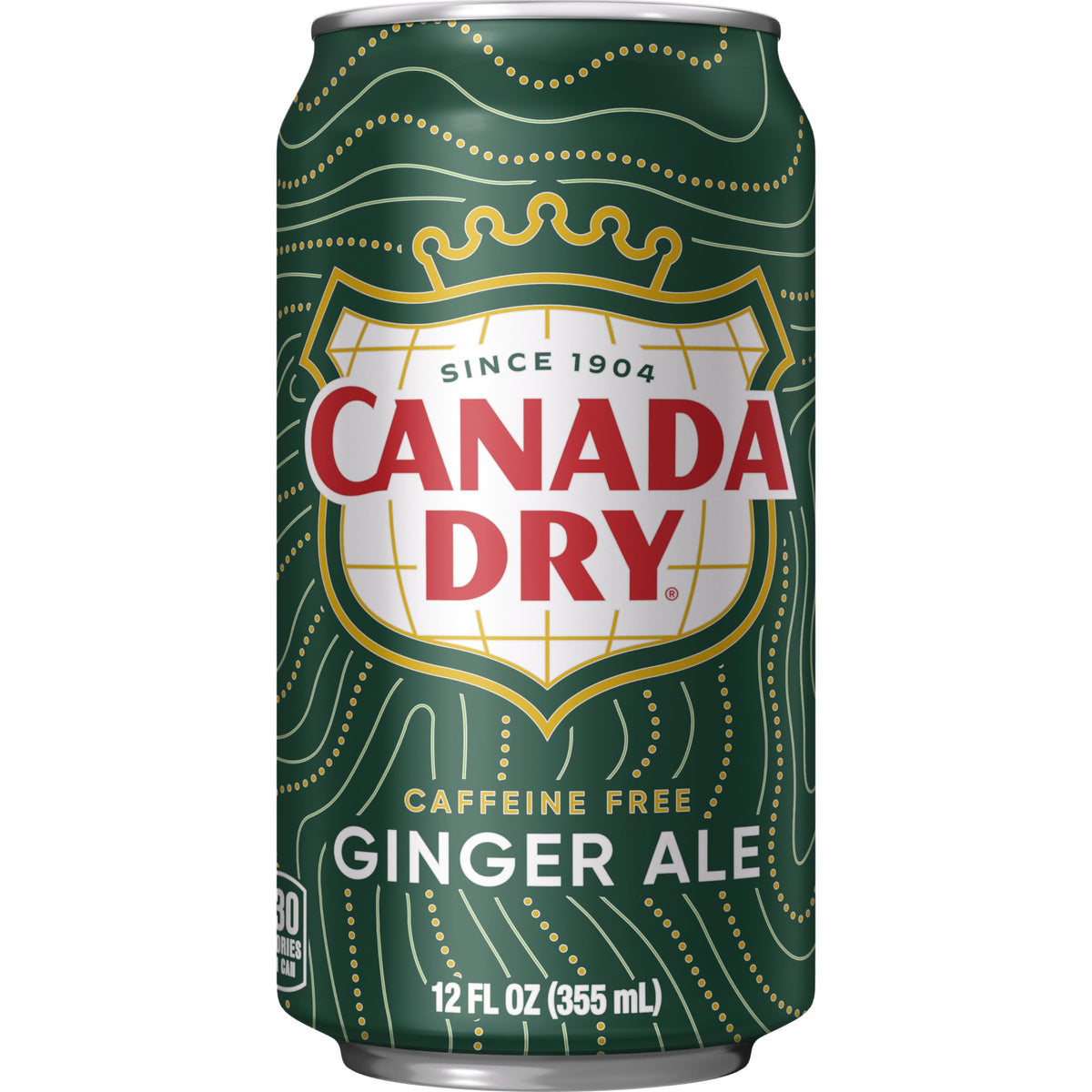 Ginger Ale Soda 12 fl oz 12 pack H159265