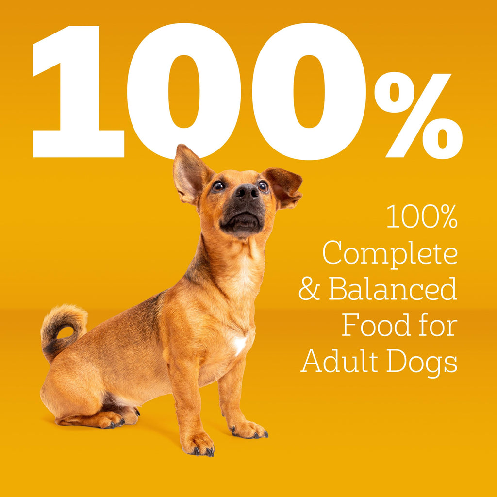 Dry Dog Food 14 lb Z85820