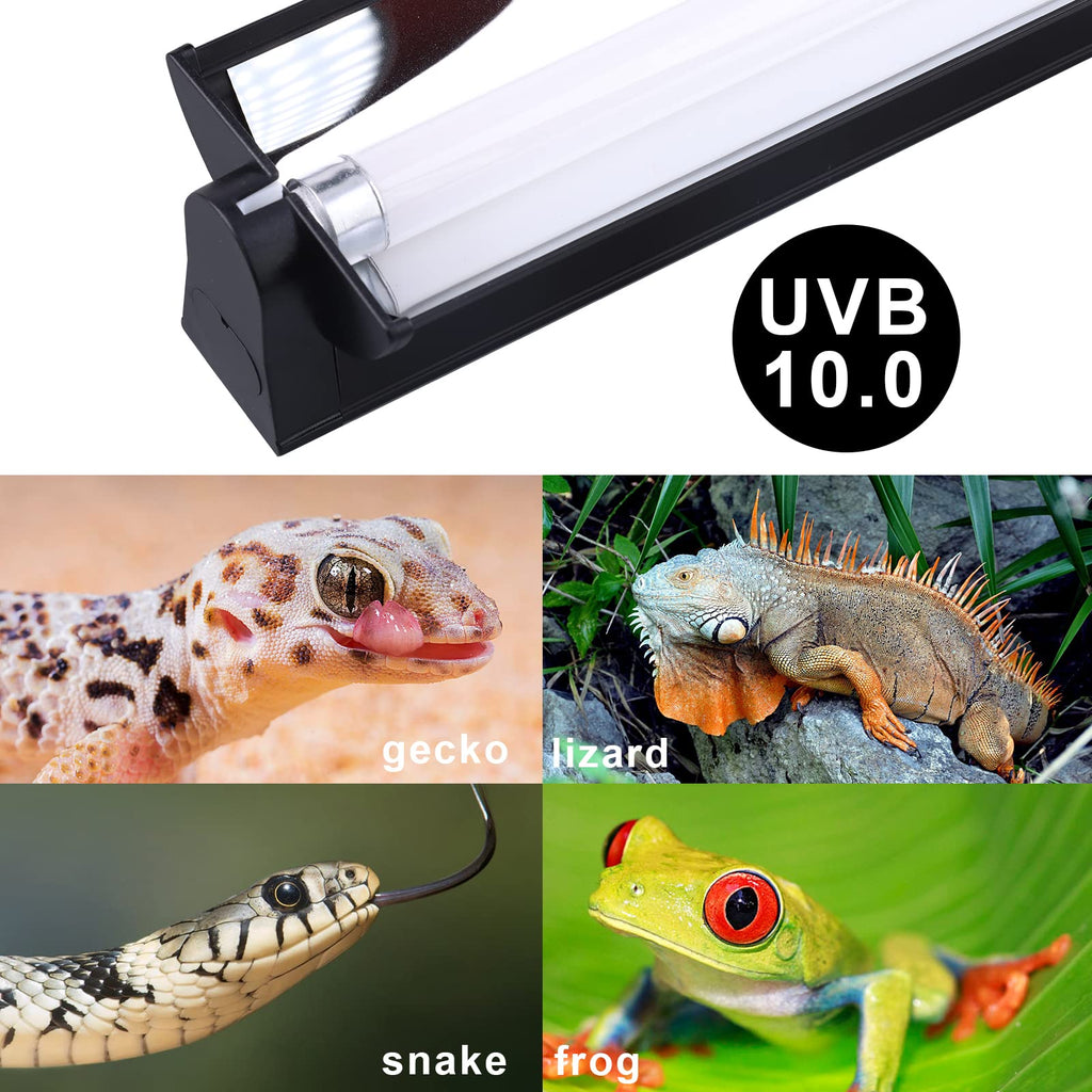 Reptile Heat Pad and UVB Light F805480