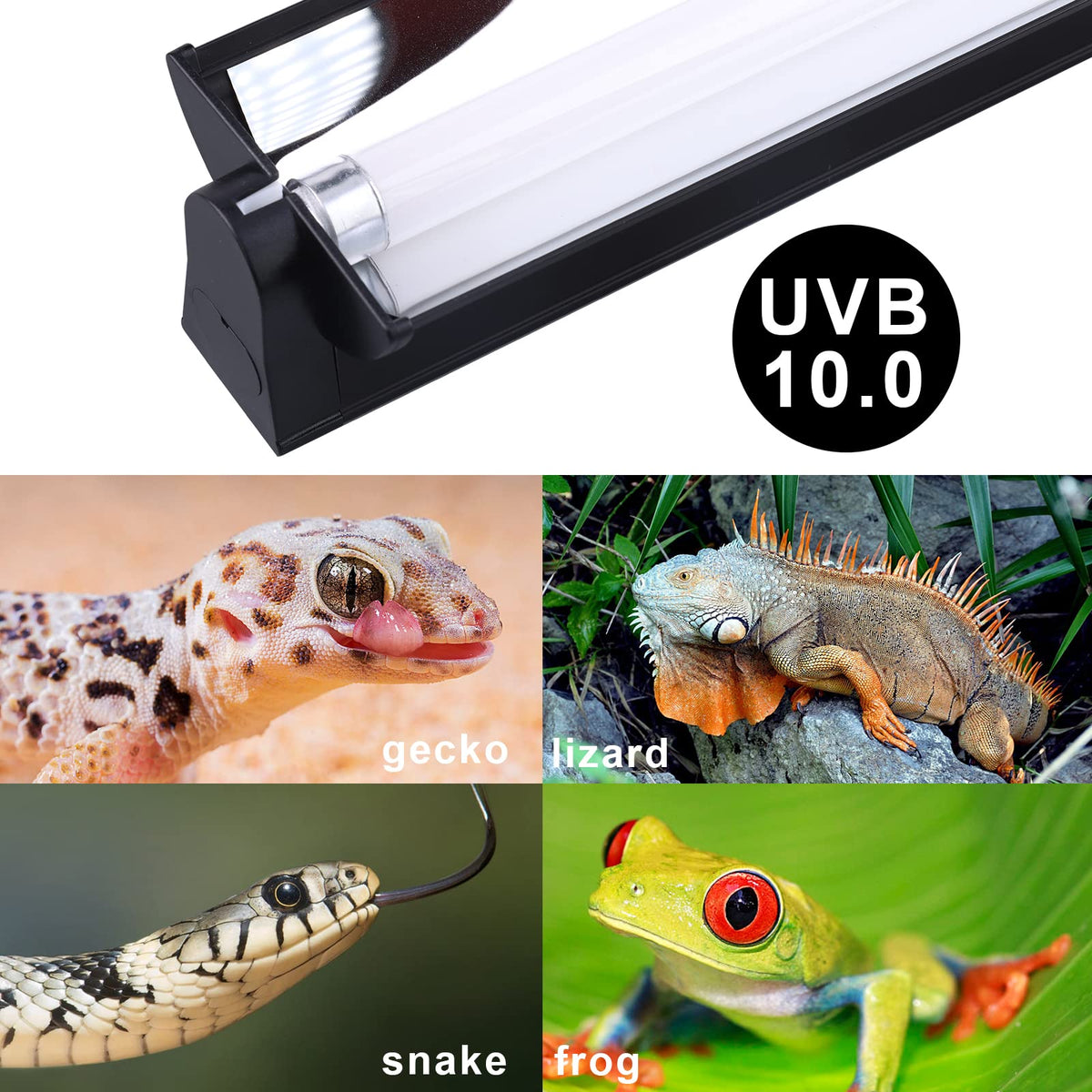 Reptile Heat Pad and UVB Light F805480
