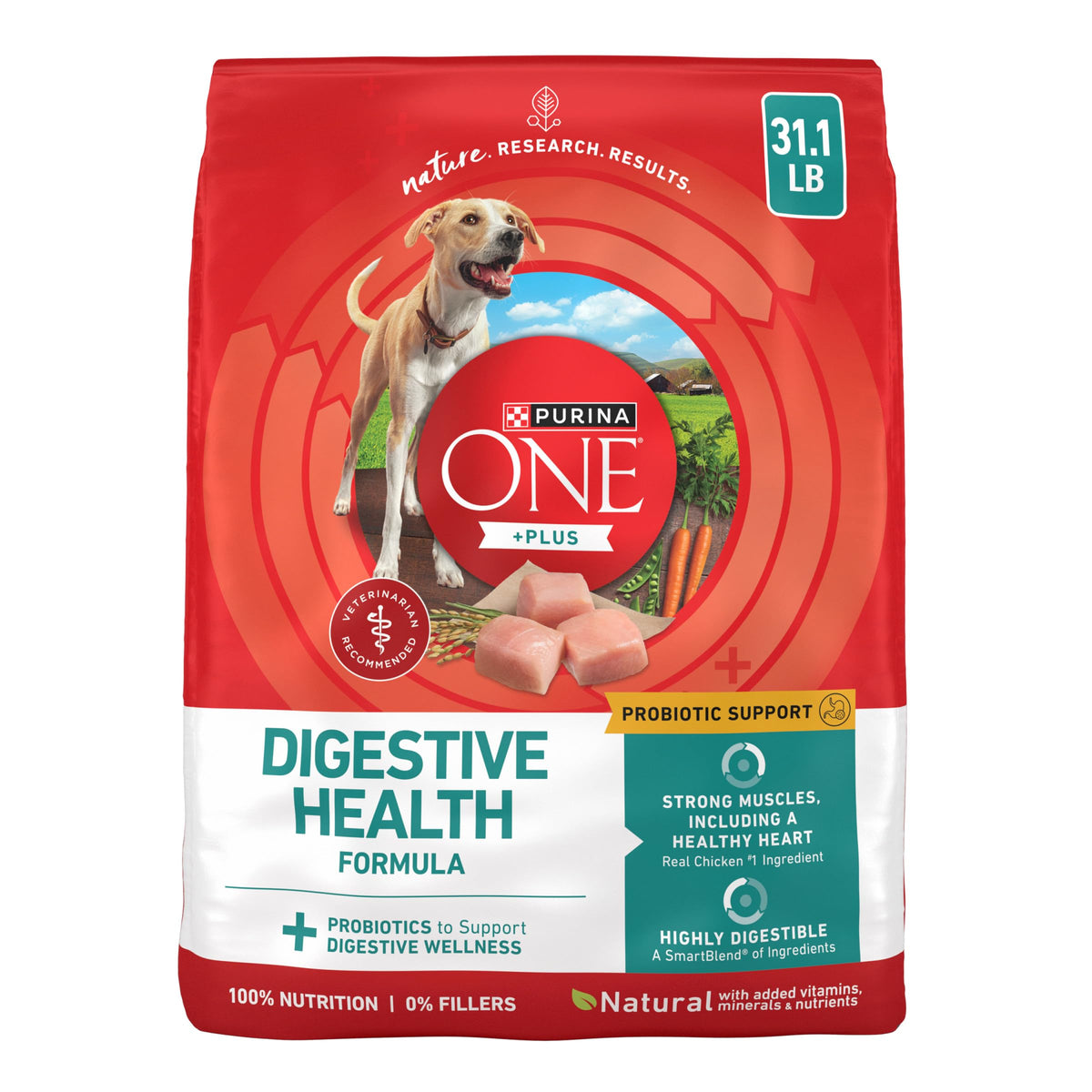 Chicken Dry Dog Food 31.1 lb Bag B22075