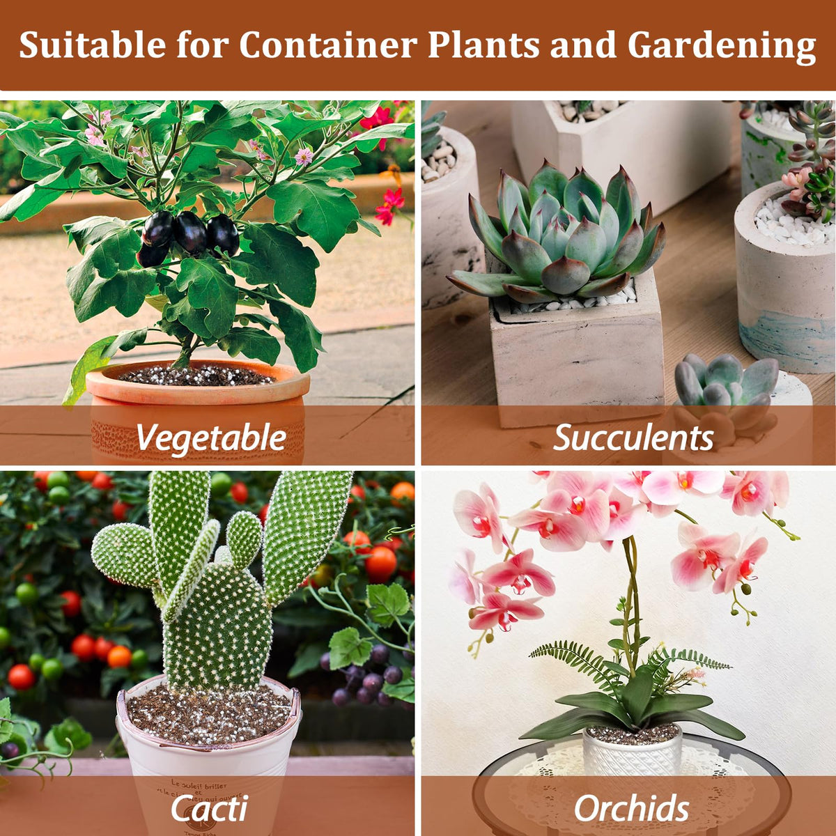 4QT Organic Horticultural Perlite Soil Amendment F470