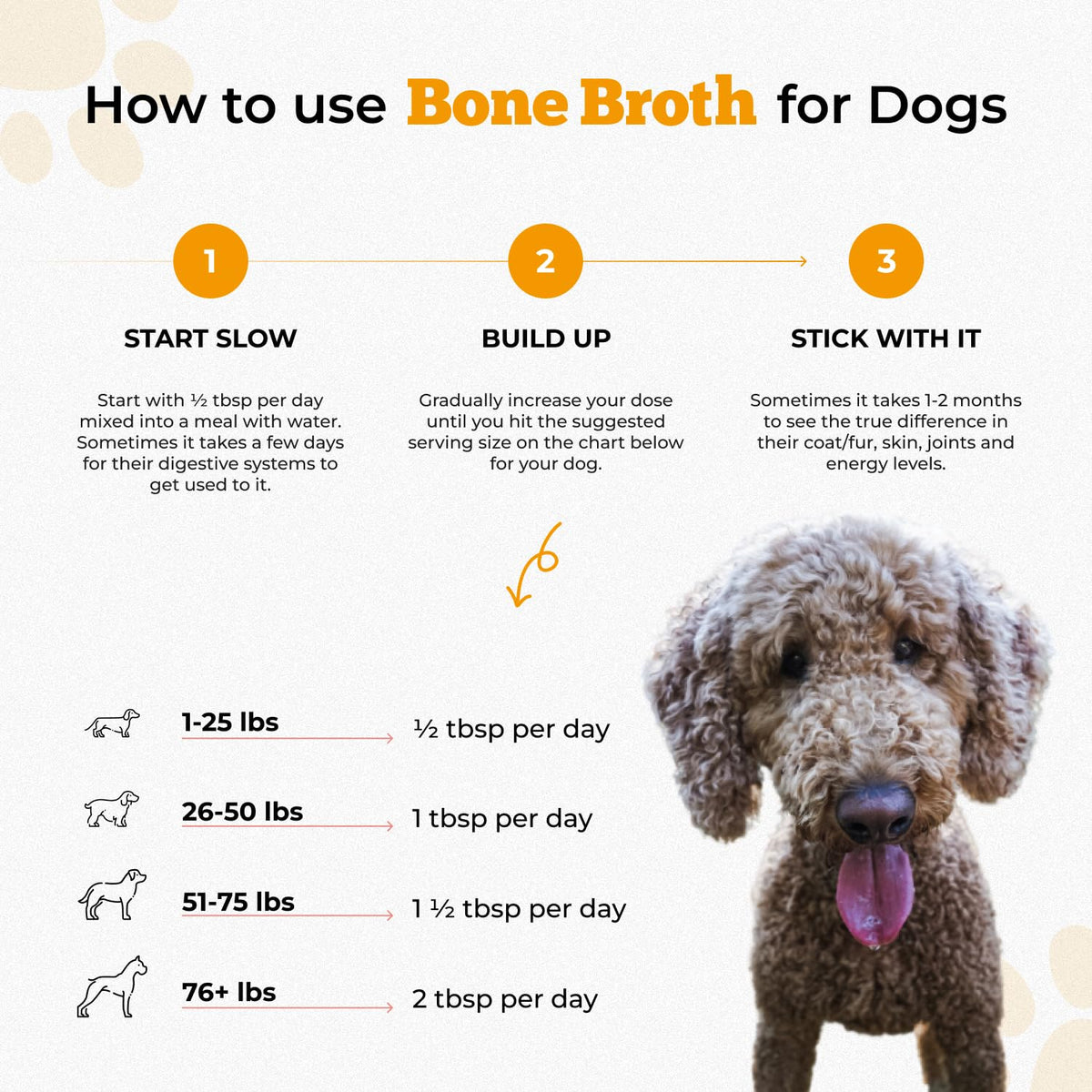 Chicken Bone Broth Powder Y21064