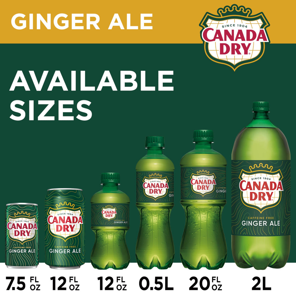 Ginger Ale Soda 12 fl oz 12 pack H159265