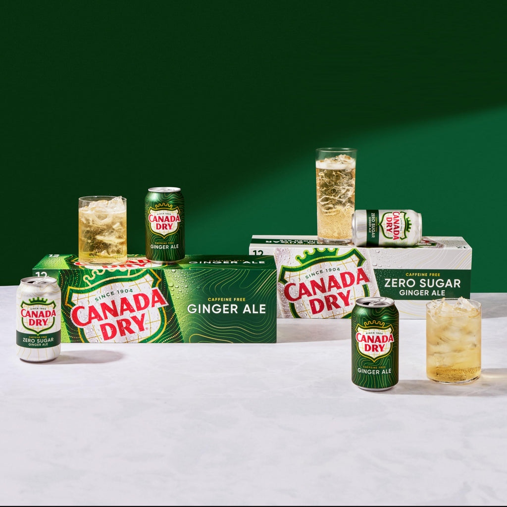 Ginger Ale Soda 12 fl oz 12 pack H159265