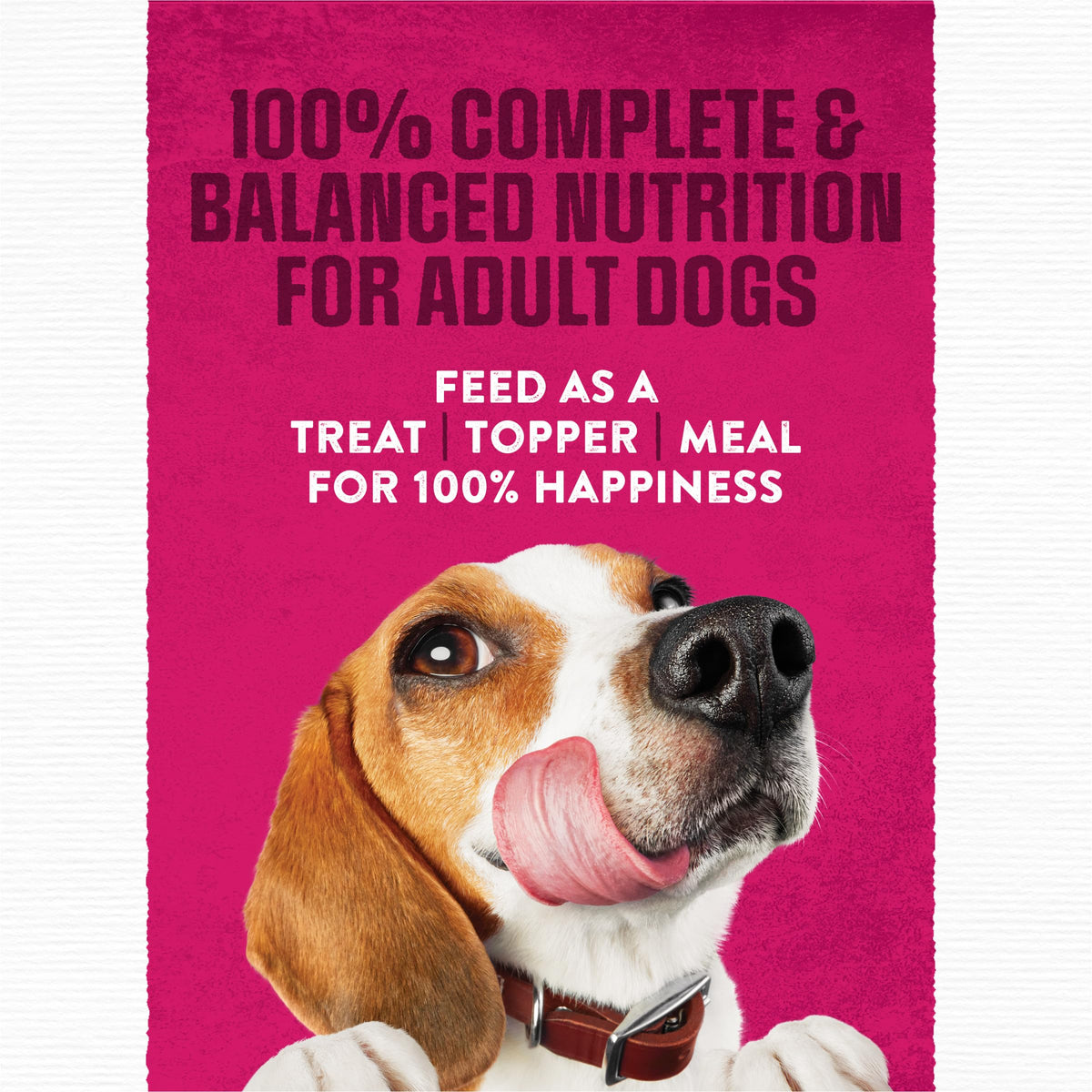 Moist & Meaty Soft Dog Food Pouches, 36 ct T92101